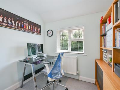 Picture 7